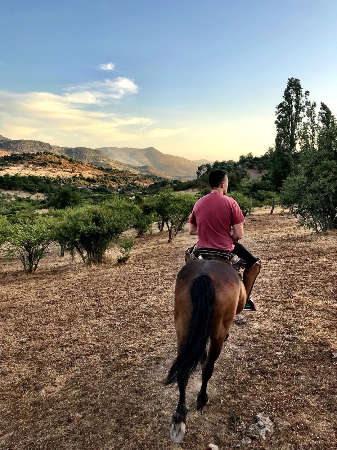 Horseback Rides Santa Cruz All You Need to Know BEFORE You Go