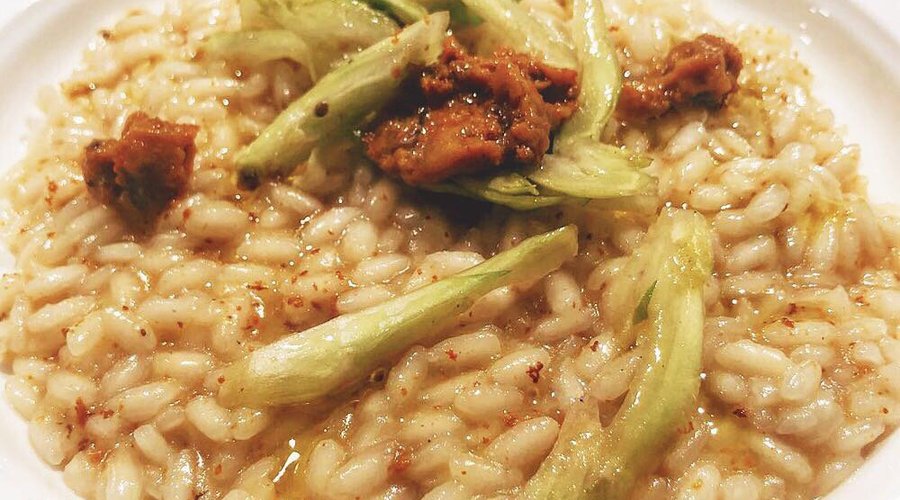 risotto ricci di mare, puntarelle e olio nuovo