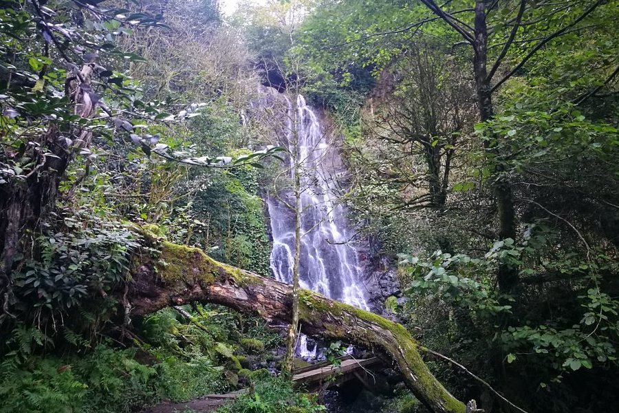 Mirveti Waterfall image