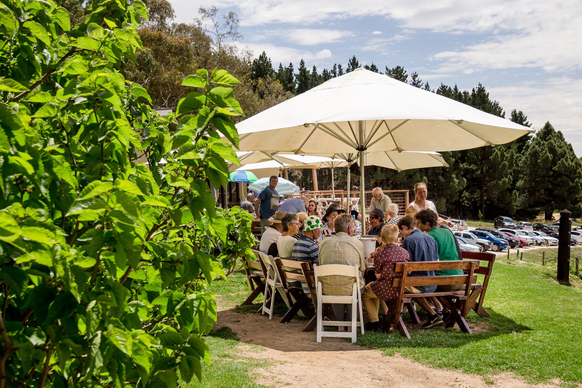 Anderson Hill Cellar Door All You Need to Know BEFORE You Go