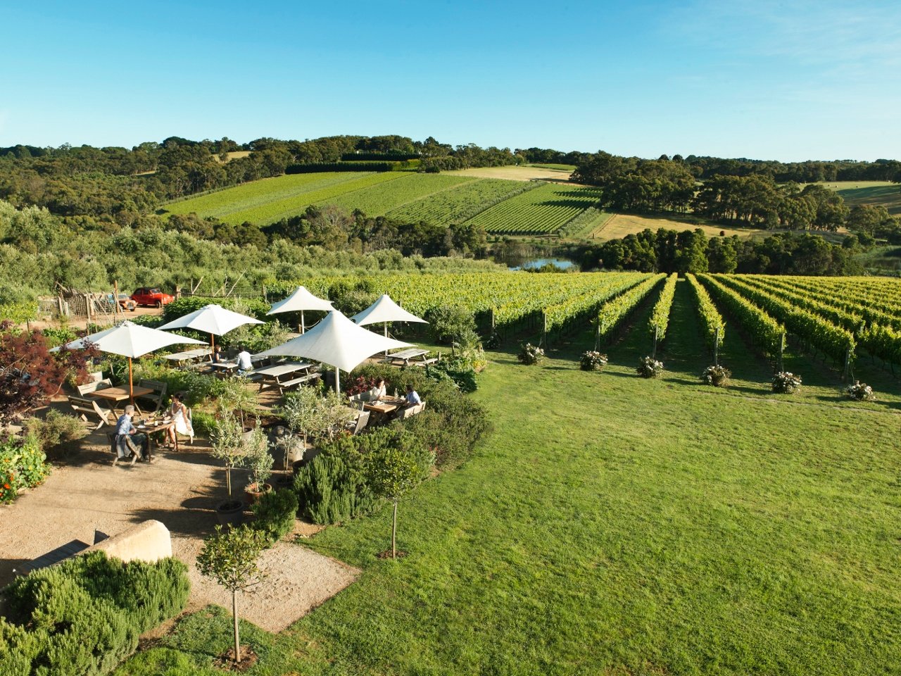 Montalto winery discount