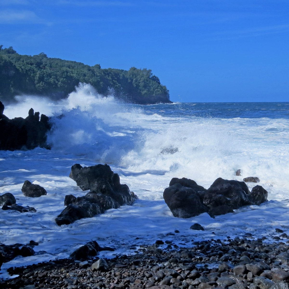 Laupahoehoe Beach Park All You Need to Know BEFORE You Go