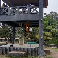 Tree house