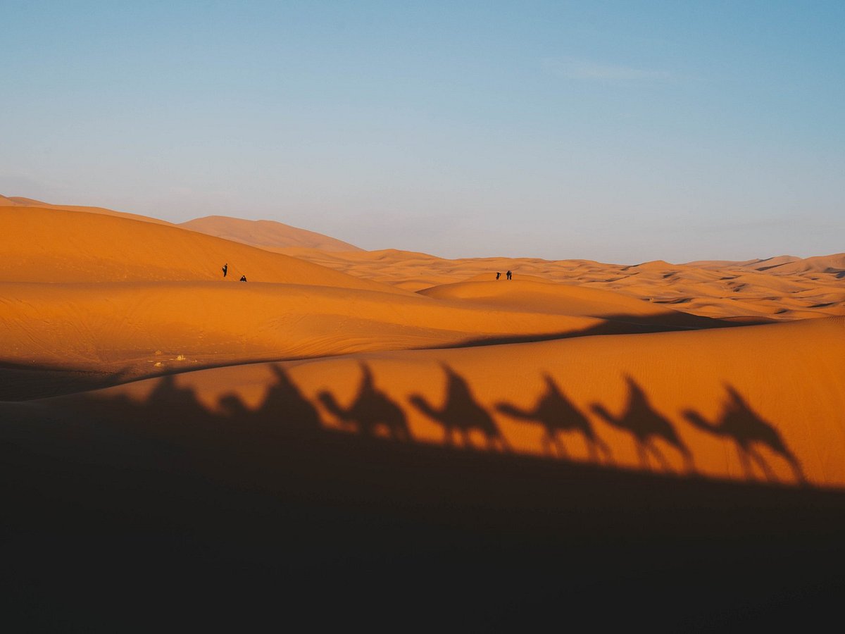 Deserto com areia movediça - Avaliações de viajantes - Wadi Araba Desert -  Tripadvisor