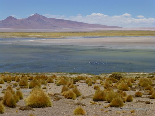 San Pedro de Atacama Erin M review images