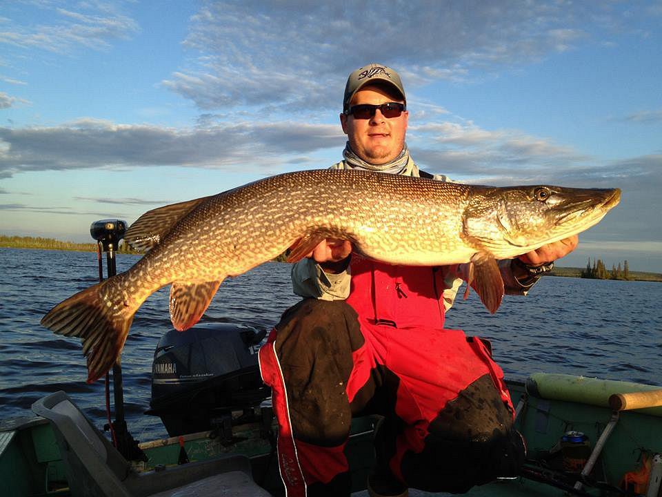 Walleye, pike aplenty at Burntwood Lake – Winnipeg Free Press