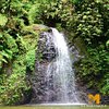 Things To Do in Authentic Tour of Southern Martinique, Restaurants in Authentic Tour of Southern Martinique