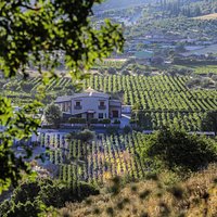 The winery