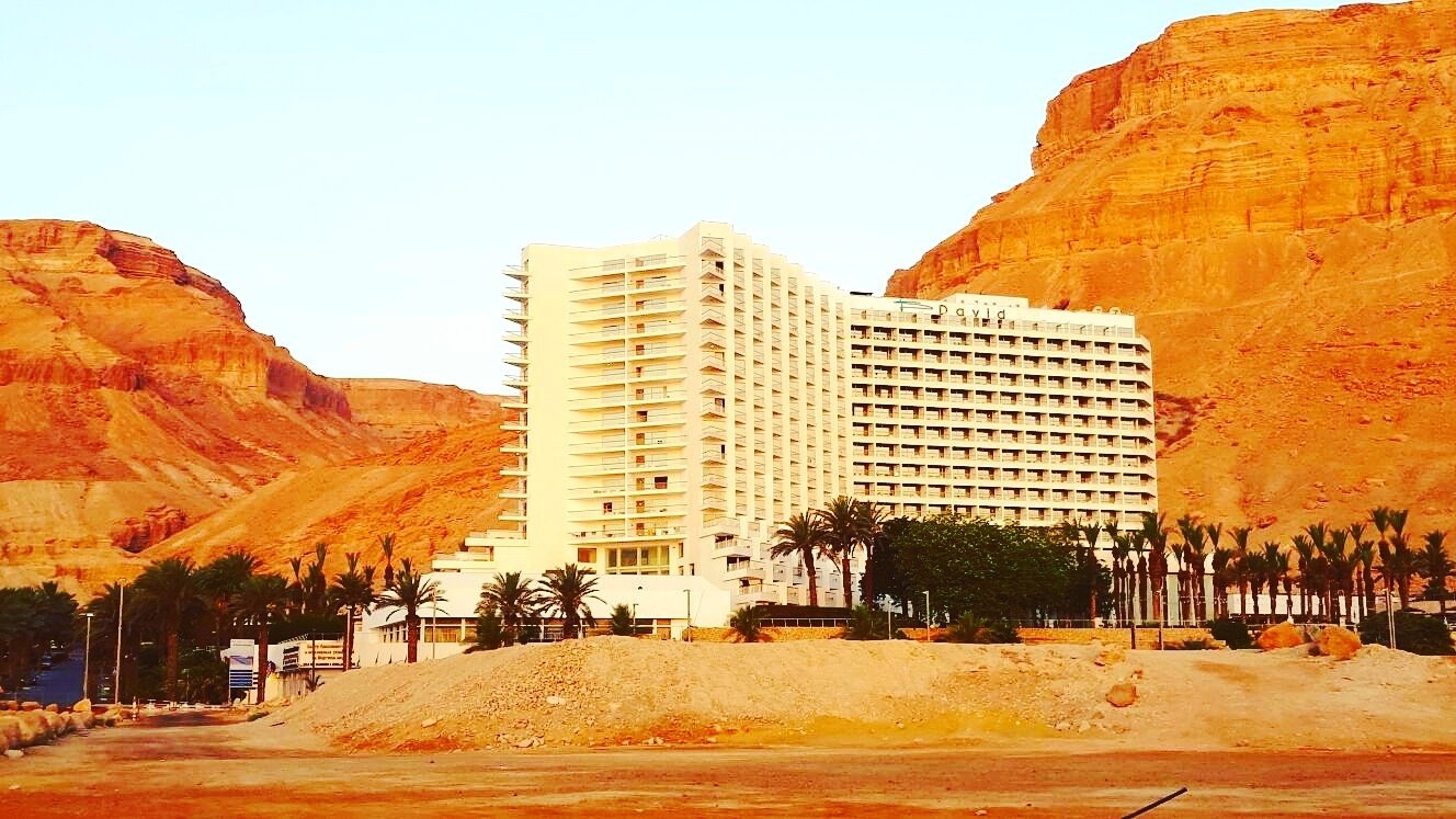 Hotel photo 20 of David Dead Sea Resort & Spa.