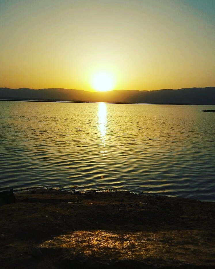 Hotel photo 11 of David Dead Sea Resort & Spa.