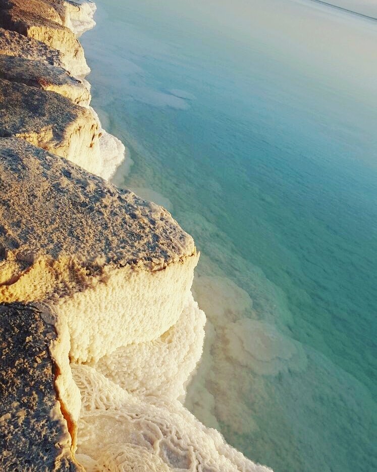 Hotel photo 2 of David Dead Sea Resort & Spa.