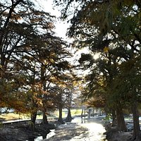 Parque Tolteca