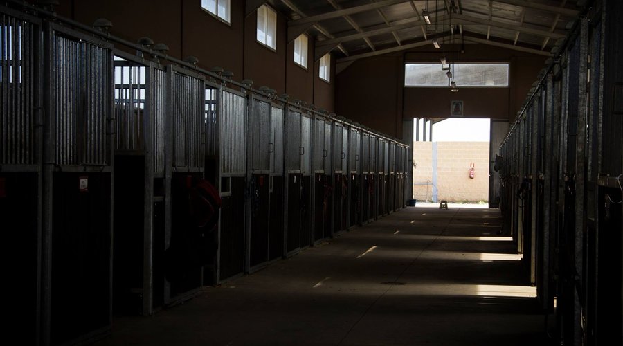 Nave principal de las instalaciones dónde se alojan nuestros caballos