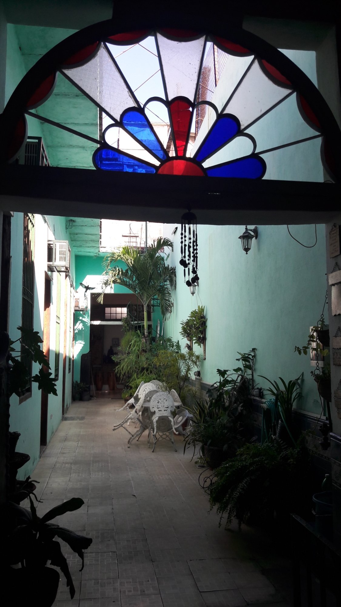 CASA TANIA MIGUEL - Guest house Reviews (Havana, Cuba)