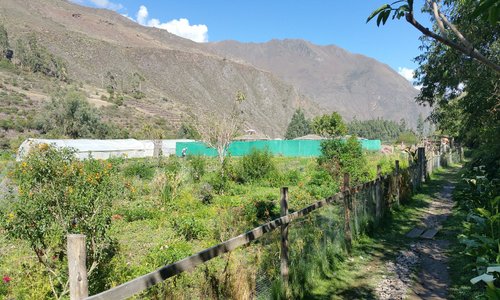 Organic Farm 