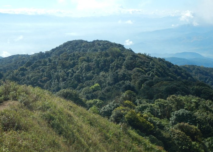 On the summit of Doi Pha Hom Pok (2285)