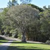 Things To Do in Banjo Paterson Reserve, Restaurants in Banjo Paterson Reserve