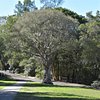 Things To Do in Clarkes Point Reserve, Restaurants in Clarkes Point Reserve