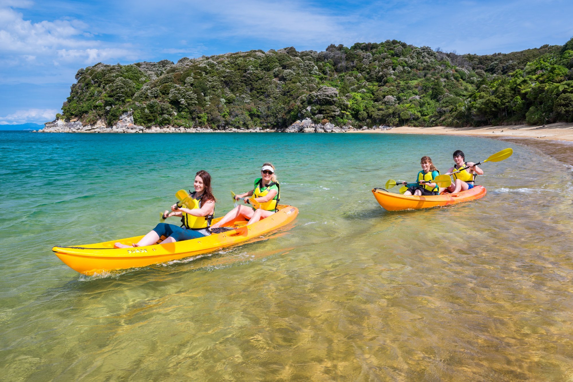 abel tasman charters day tours