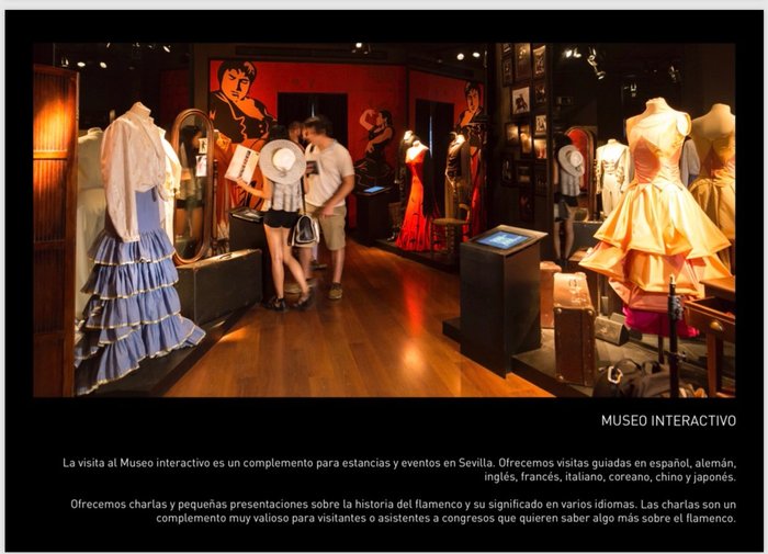 Imagen 9 de Museo del Baile Flamenco