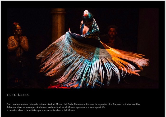 Imagen 8 de Museo del Baile Flamenco