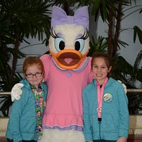 Meet Daisy Duck