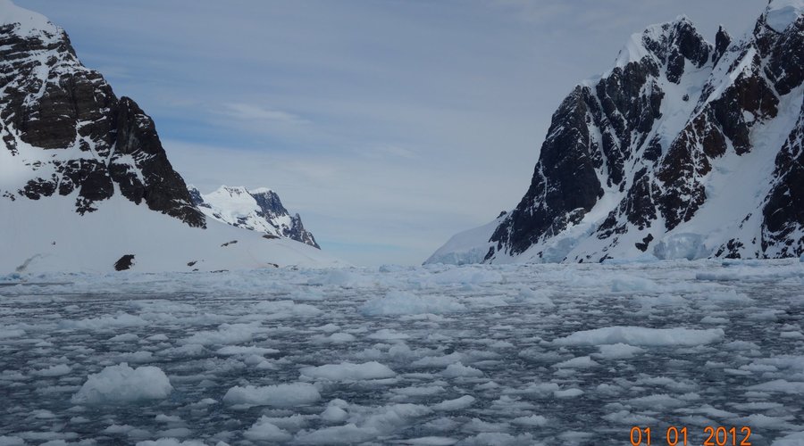 View from the Ship
