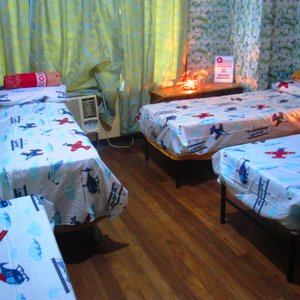 Bunk Beds in Mixed Dormitory Room