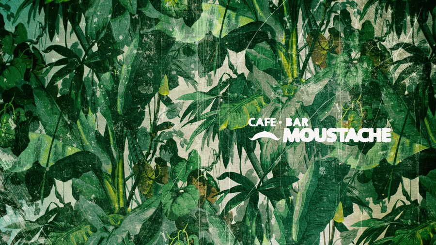 Welcome in the jungle