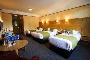 Habitaciones y suites