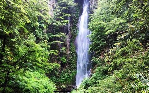 Treking Cascada Escondida