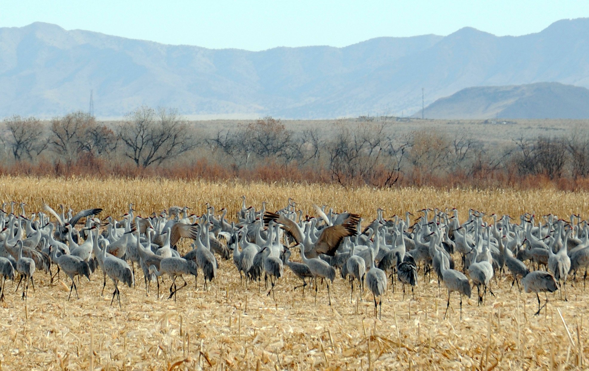 CASEY'S SOCORRO RV PARK - Campground Reviews (NM)