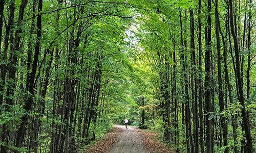 Elora Cataract trail that goes through area is great for bikes & hikes!