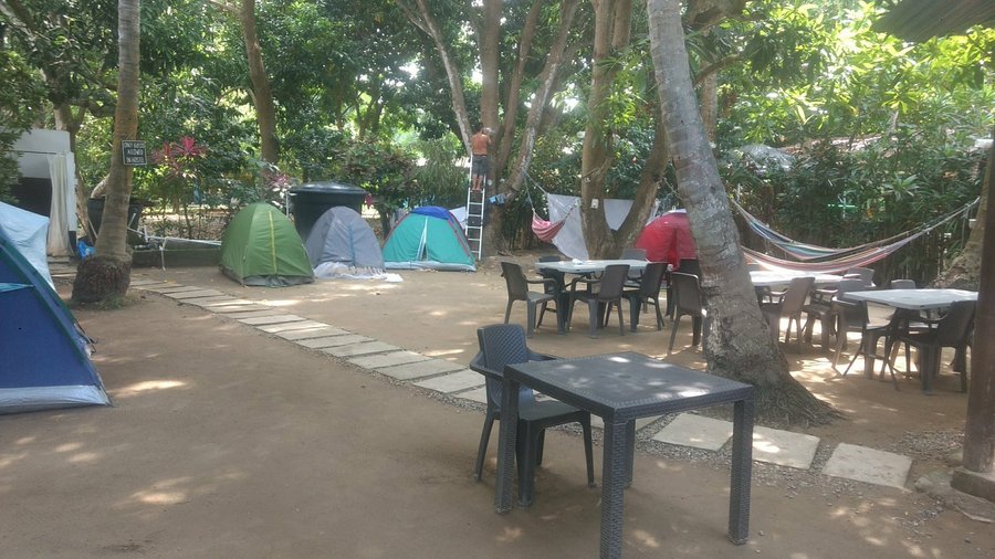 Paloa Hostel