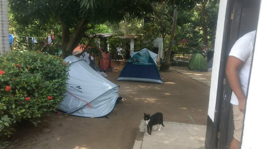 Paloa Hostel