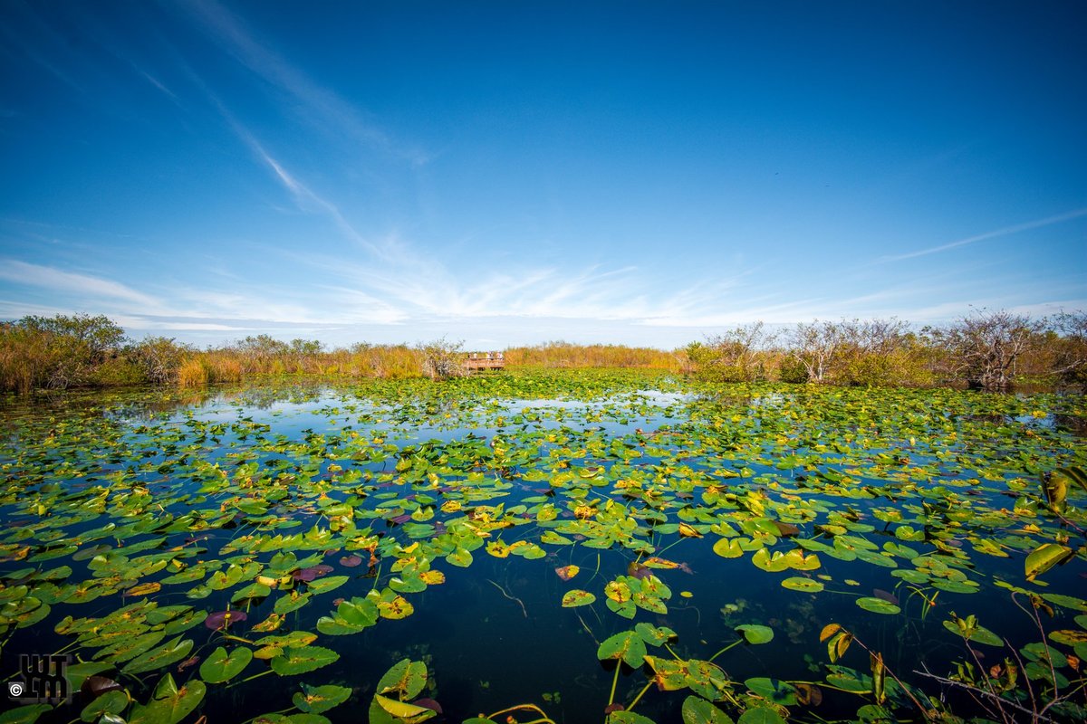 Anhinga Trail - All You Need To Know Before You Go (2024)