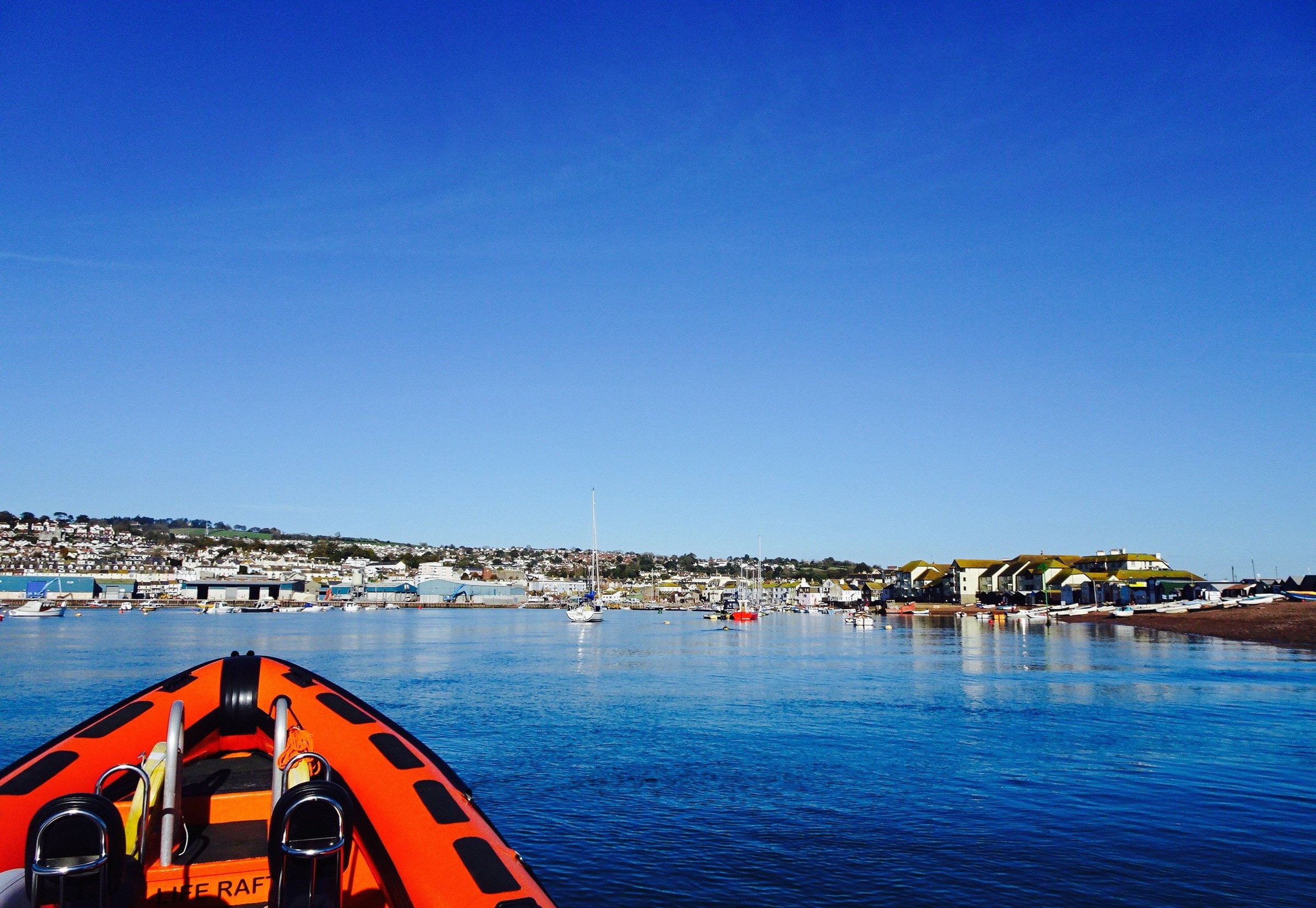 ilfracombe-sea-safari-devon-2022-lohnt-es-sich-mit-fotos