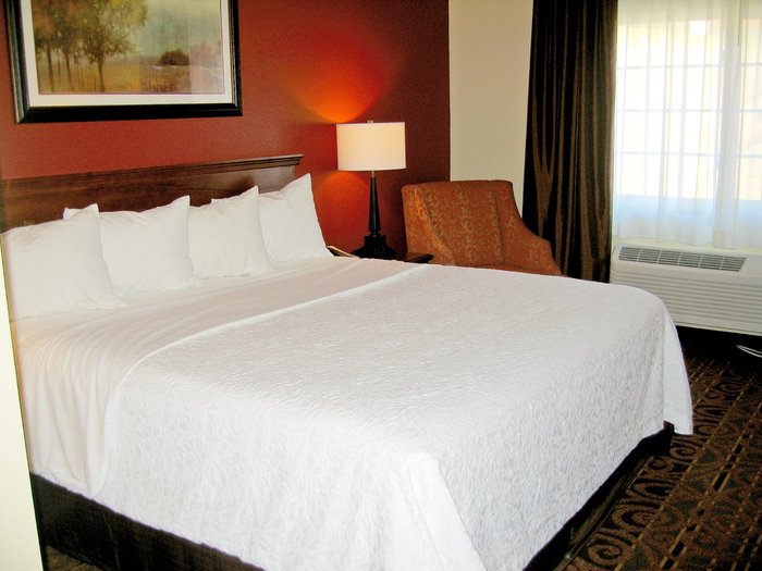 Savanna Inn & Suites Rooms: Pictures & Reviews - Tripadvisor