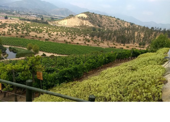 Valle de Casablanca, ruta del vino