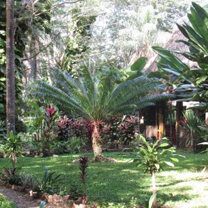 Macaw Bank Jungle Lodge, hotel in San Ignacio