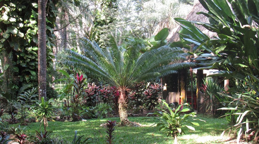Entrance to property 