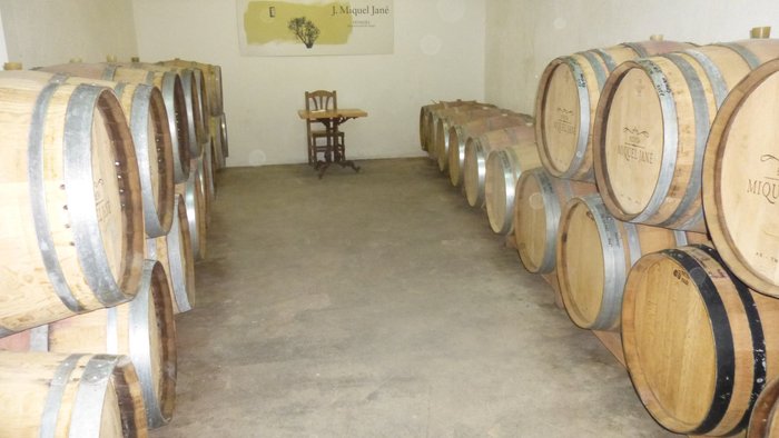 Imagen 10 de Bodega J. Miquel Jane