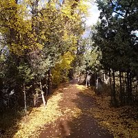 Autumn on the Riverwalk in Town Park