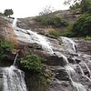 Things To Do in Courtallam Falls, Restaurants in Courtallam Falls