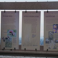 Info panels 2