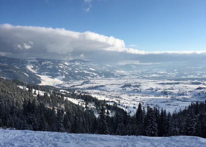 view from the top