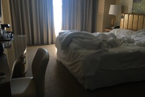Room & Suite