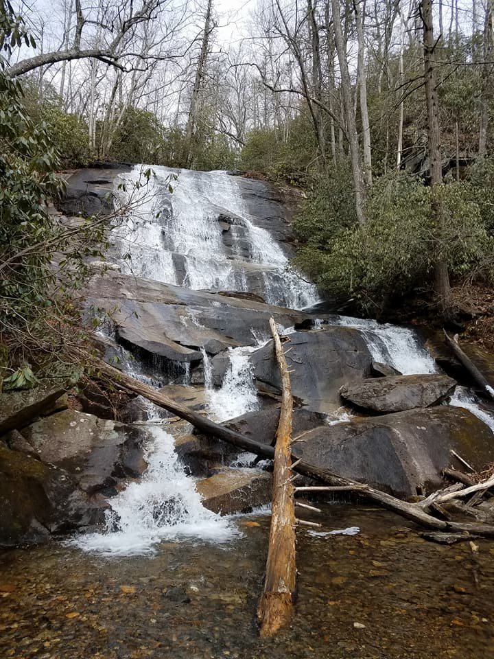 THE 15 BEST Things to Do in Pisgah Forest - 2022 (with Photos ...