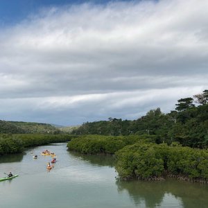 21年 東村 ふれあいヒルギ公園 行く前に 見どころをチェック トリップアドバイザー