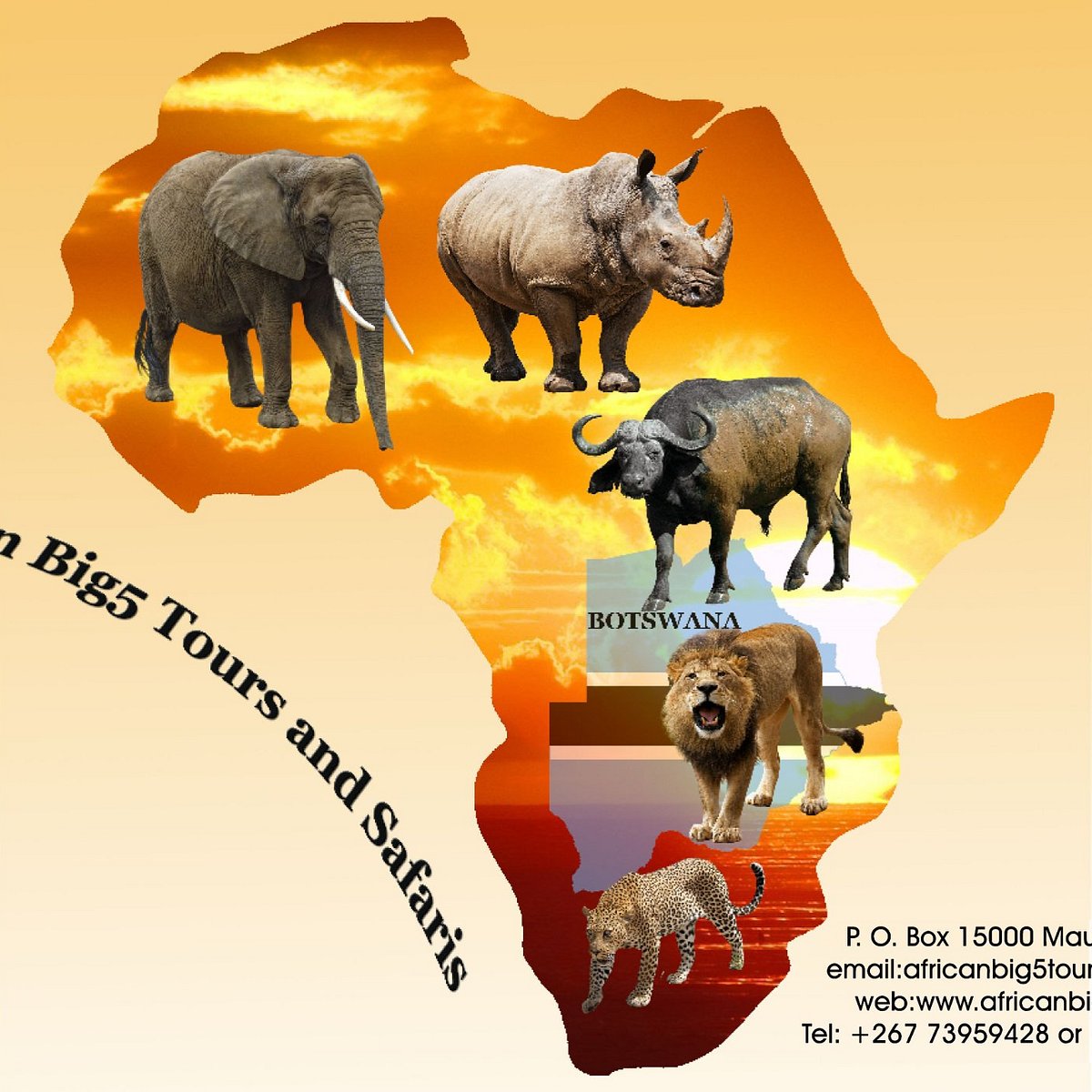 big 5 africa tours